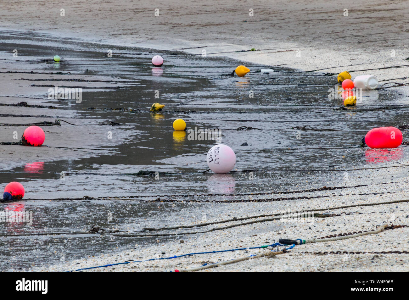 Colourful mooring buoys at low tide in New Quay harbour, Ceredigion