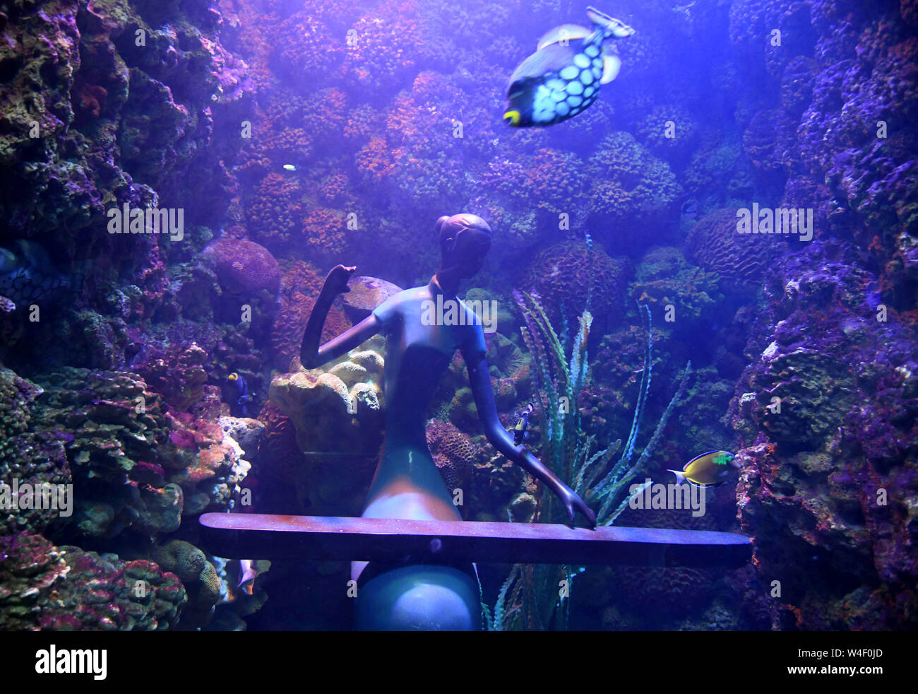Qingdao. 22nd July, 2019. Photo taken on July 22, 2019 shows a statue in the shape of folk music performer in an aquarium of an ocean park in Qingdao, east China's Shandong Province. A dozen statues showing various Chinese folk music playing scenes are installed underwater in aquariums at the ocean park, which provides a fresh audio-visual enjoyment to visitors amid melodious folk music. Credit: Li Ziheng/Xinhua/Alamy Live News Stock Photo