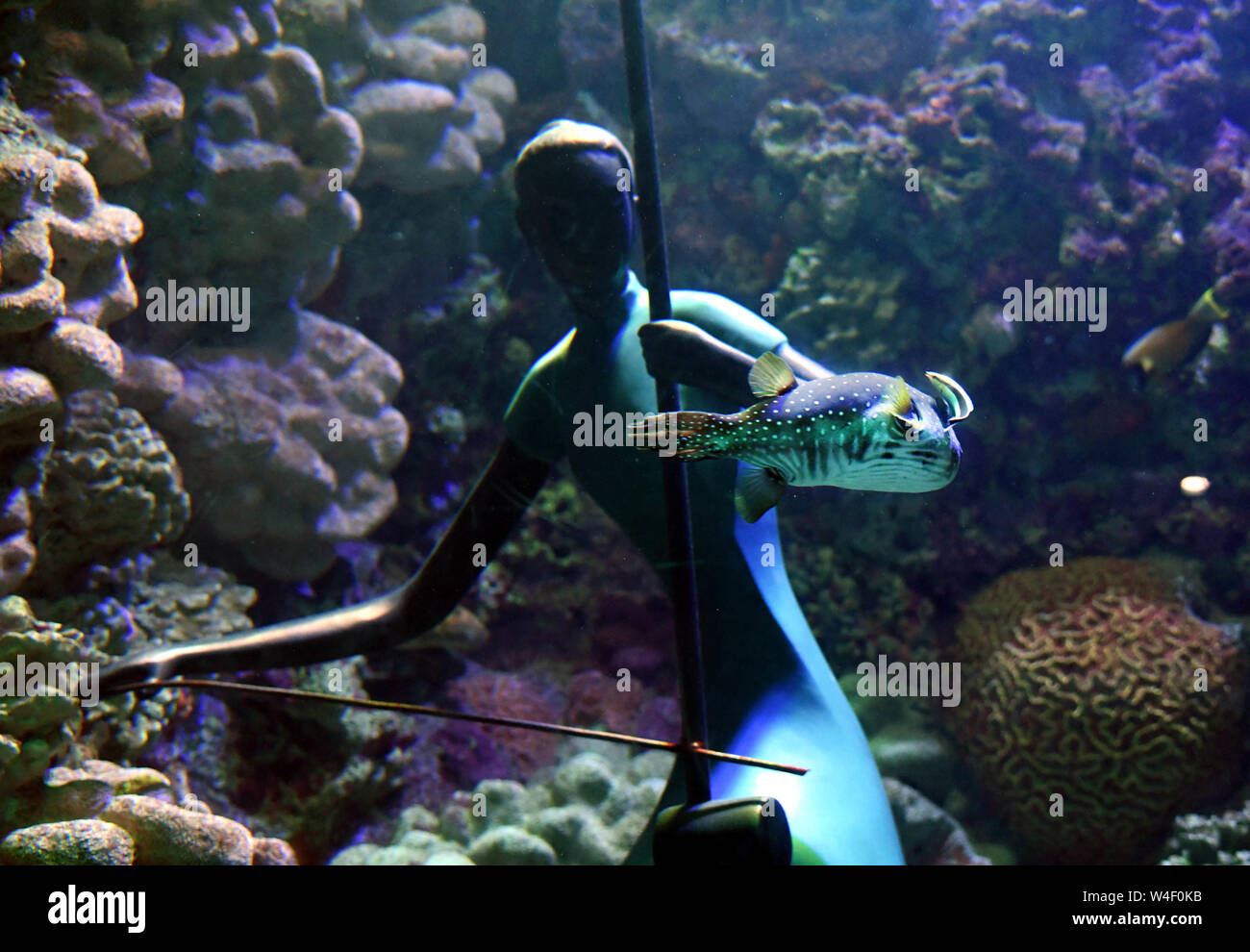 Qingdao. 22nd July, 2019. Photo taken on July 22, 2019 shows a statue in the shape of folk music performer in an aquarium of an ocean park in Qingdao, east China's Shandong Province. A dozen statues showing various Chinese folk music playing scenes are installed underwater in aquariums at the ocean park, which provides a fresh audio-visual enjoyment to visitors amid melodious folk music. Credit: Li Ziheng/Xinhua/Alamy Live News Stock Photo
