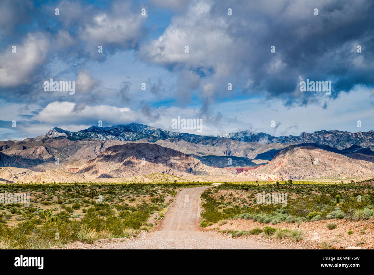 Gold Butte Road, snowcapped Virgin Mountains in distance, Gold Butte