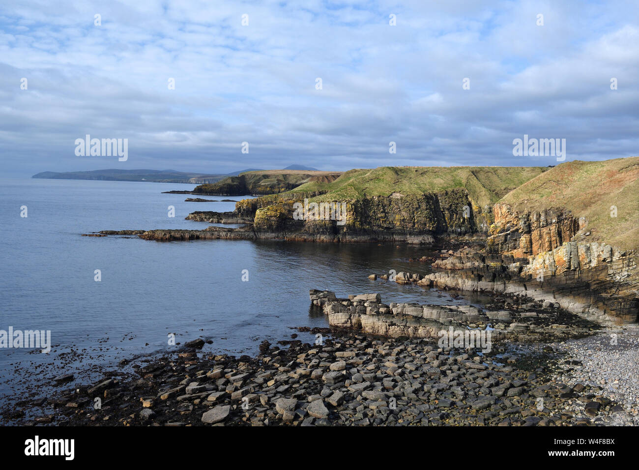 swiney-high-resolution-stock-photography-and-images-alamy
