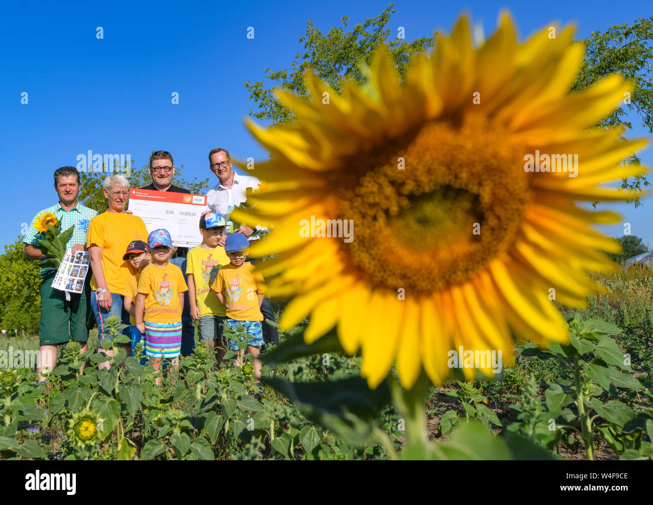 23 July 2019, Brandenburg, Vetschau: During a press meeting (l-r) Thomas Goebel, farmer, Sieglinde Weidner, head of hospital, Gregor Beyer, managing director of Forum Natur Brandenburg e.V. and Michael Klöckner, department director of the East German Savings Banks Association, and four kita children stand on a flowering area in the Spreewald. The East German Savings Banks Association is the main supporter of the 'Brandenburg blossoms out' project to promote biodiversity in Brandenburg's cultural landscape. For the project, farmers make part of their land available voluntarily and free of charg Stock Photo