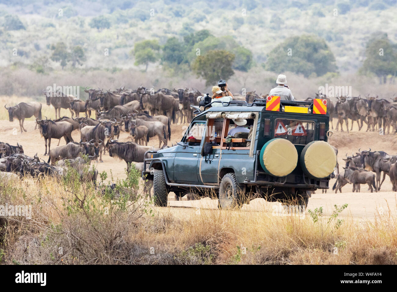 Photographers, on a safari vehicle in the Masai Mara, photograph the annual Great migration of the white-bearded wildebeest. Stock Photo