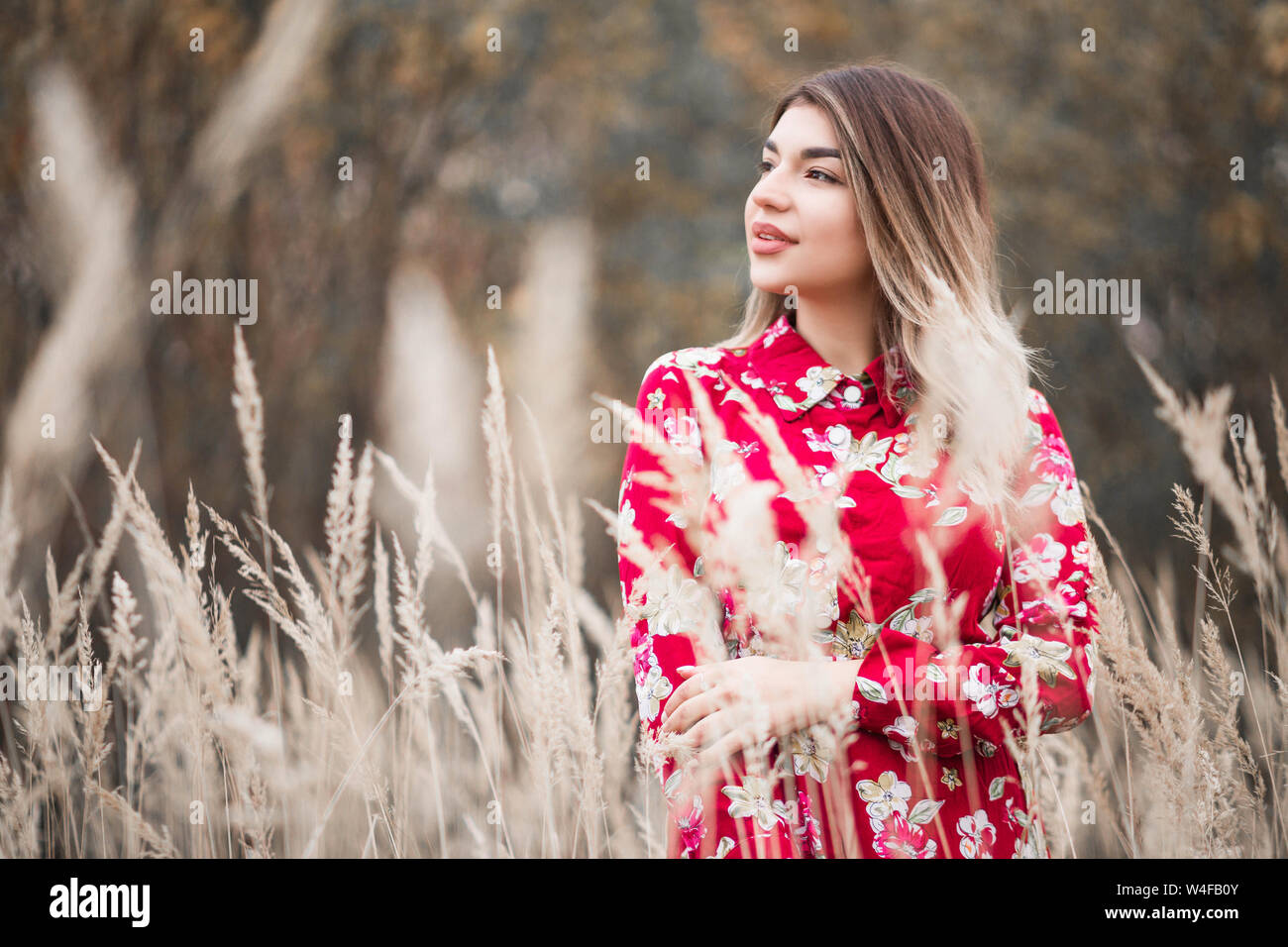 Photo of Beautiful girl in a red dress walks among the high grass in ...