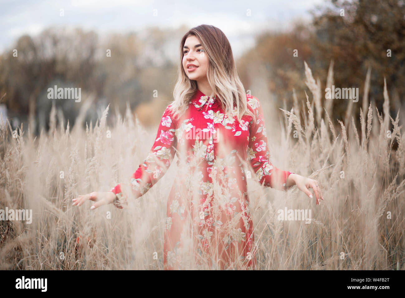 Photo of Beautiful girl in a red dress walks among the high grass in ...