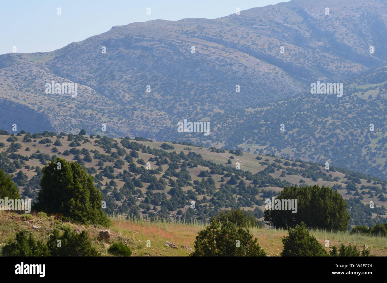 Hissar or Gissar mountains nature reserve, southeastern Uzbekistan Stock Photo