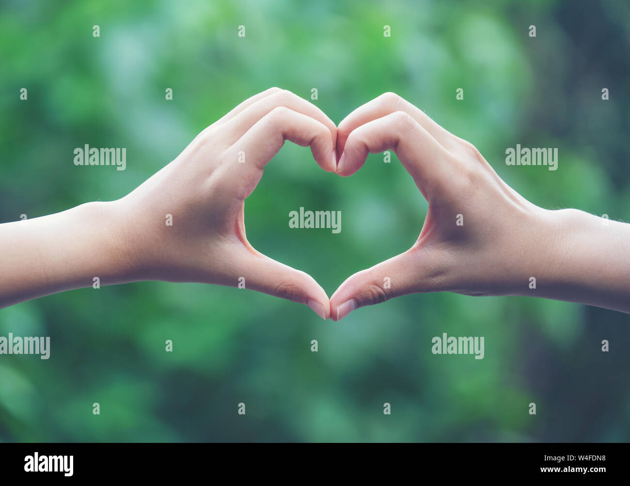 women making heart shapes with their hands on nature green background Stock Photo