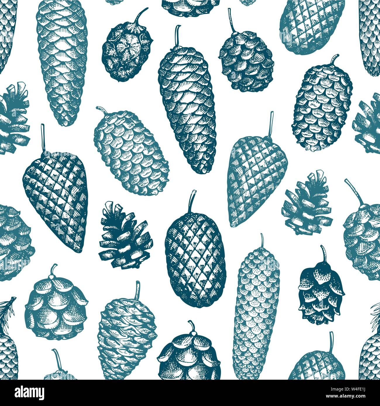 Pine cones vector hand drawn seamless pattern. Botanical background ...