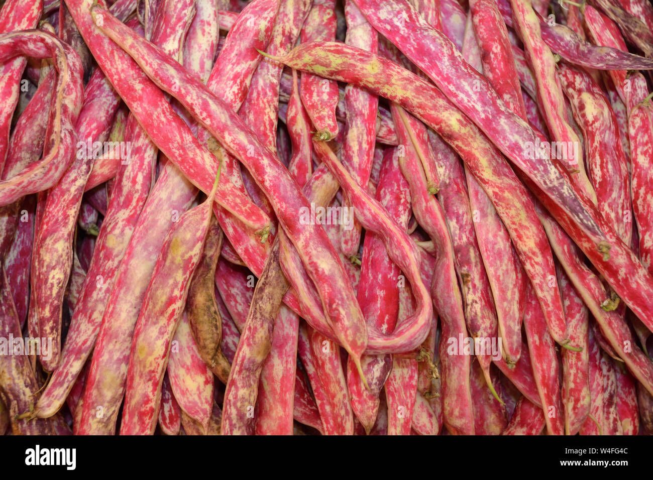 Beans on the fruit and vegetable market Naschmarkt in Vienna Austria