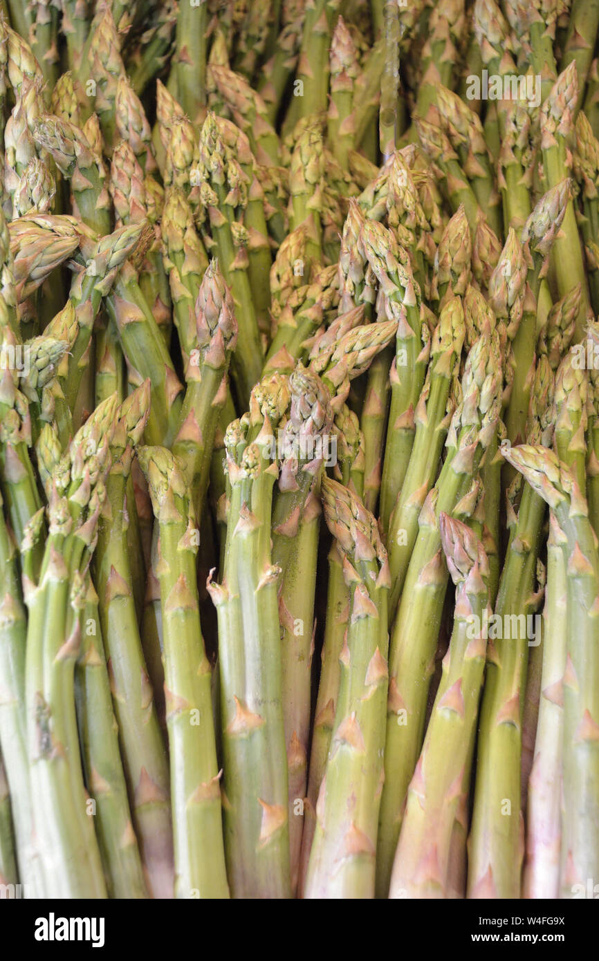 Green asparagus on the fruit and vegetable market Naschmarkt in Vienna