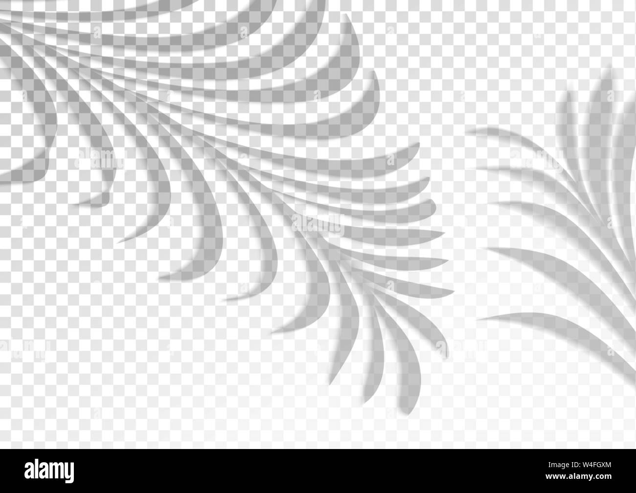 Two transparent shadows from palm leaves Stock Vector