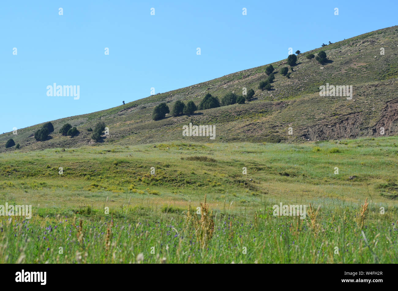 Hissar or Gissar mountains nature reserve, southeastern Uzbekistan Stock Photo