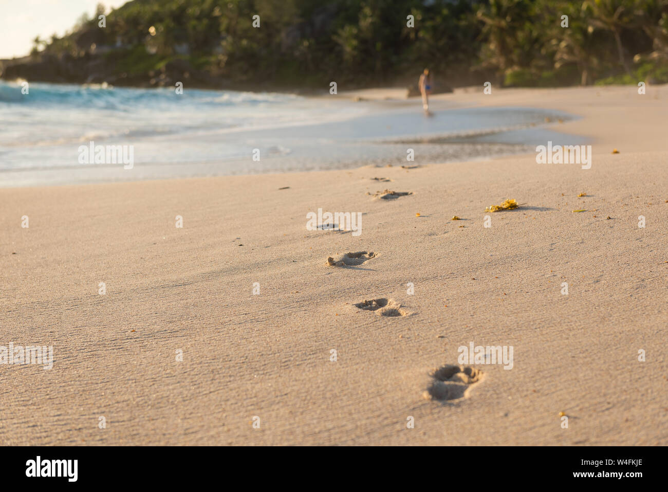 Indian woman walking barefoot hi-res stock photography and images - Alamy