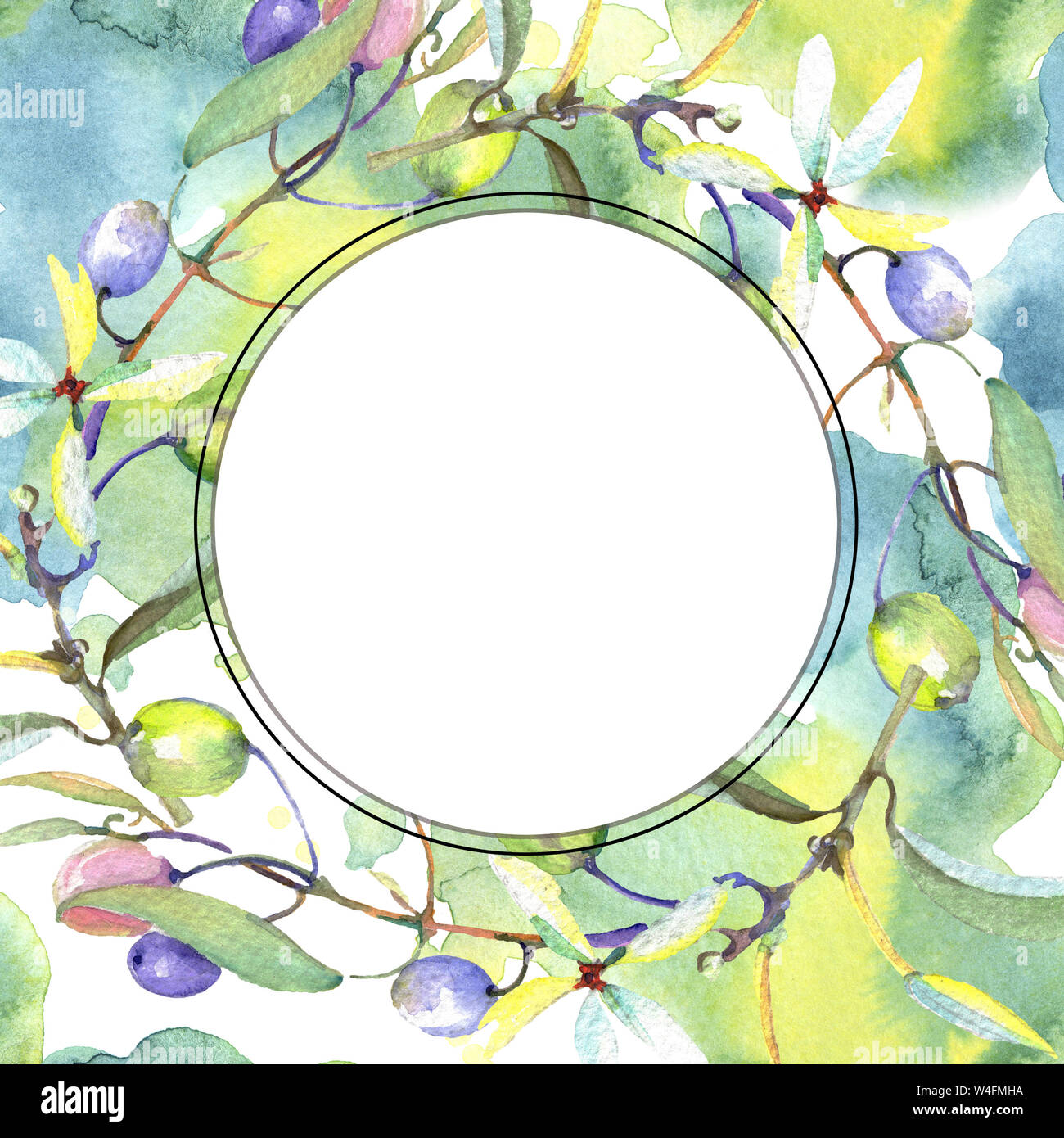Olive branch with black and green fruit. Watercolor background ...