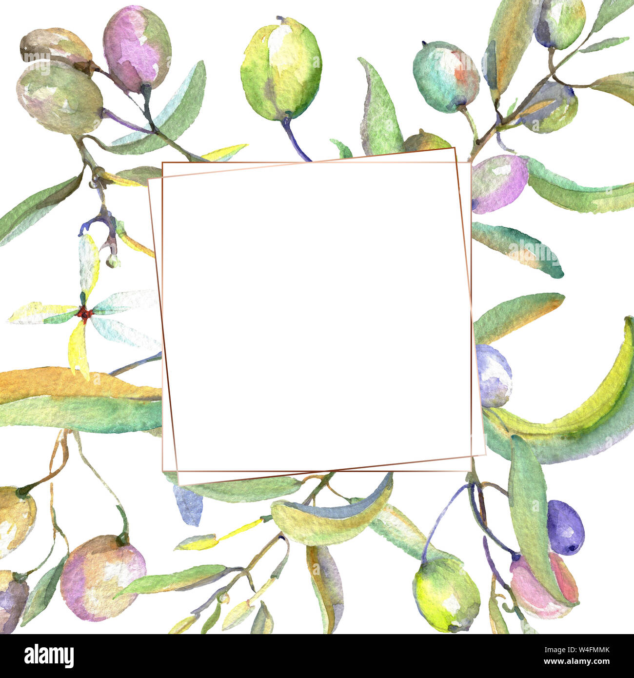 Olive branch with black and green fruit. Watercolor background ...