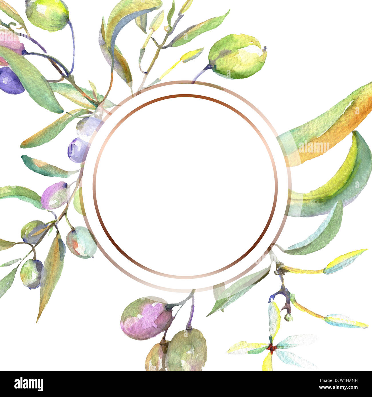 Olive branch with black and green fruit. Watercolor background ...
