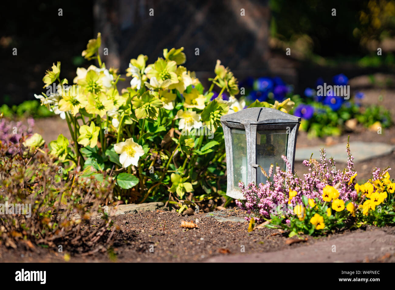 lights on the graves.memorial Stock Photo Alamy