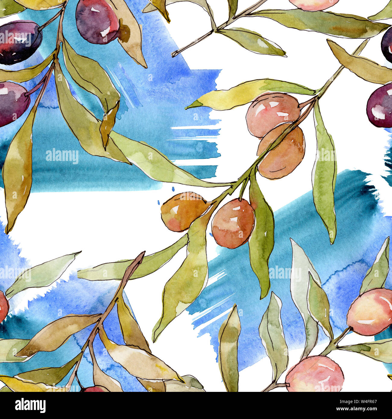 Olive branch with black and green fruit. Watercolor background ...
