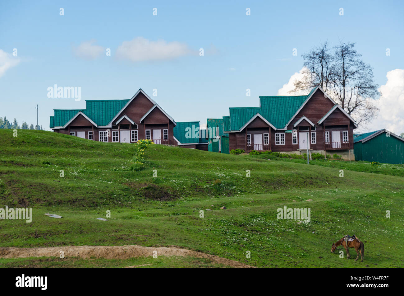 Horse grazing in front of beautiful wooden houses in Gulmarg, Jammu and