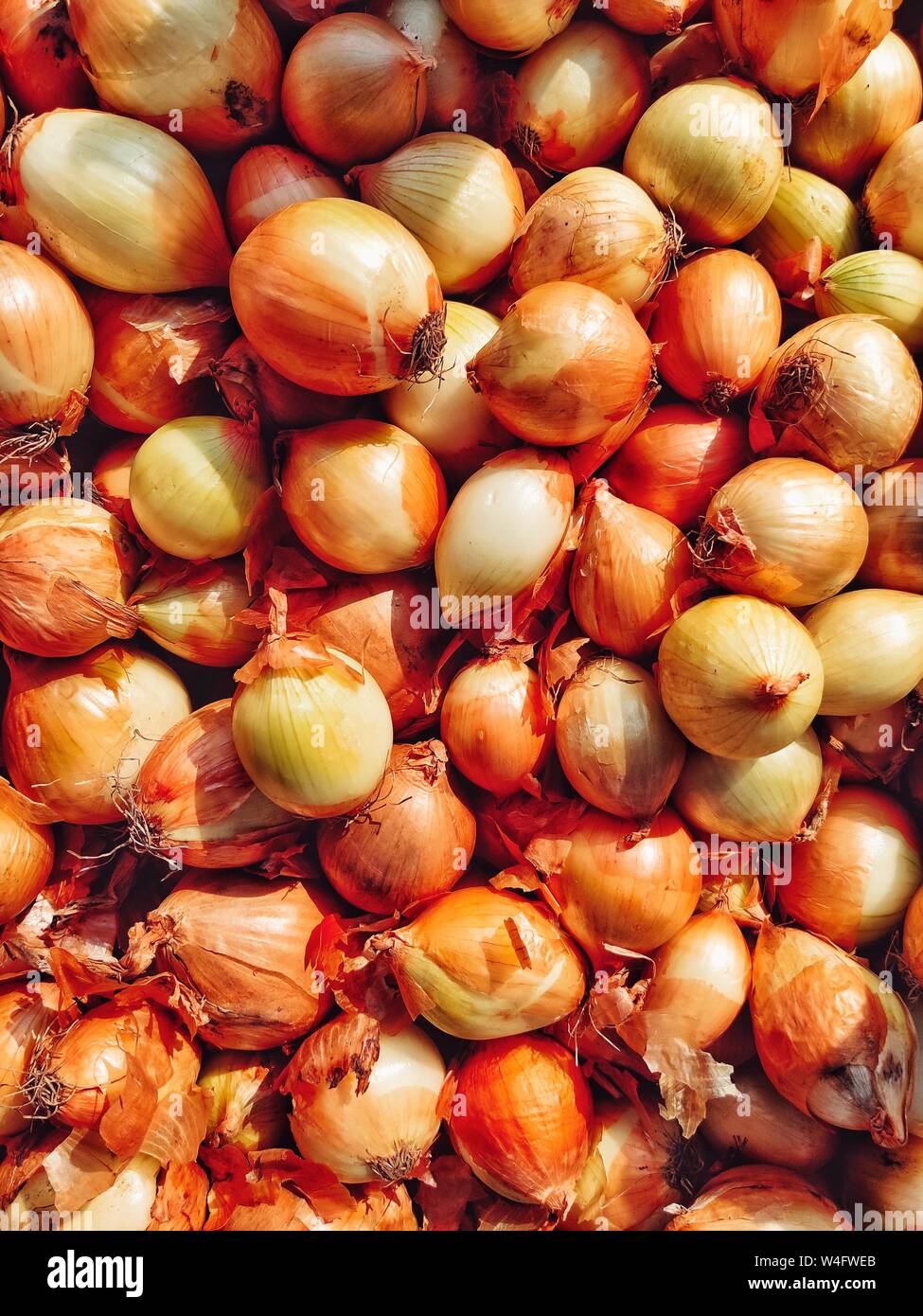 Old basket yellow onions hi-res stock photography and images - Alamy