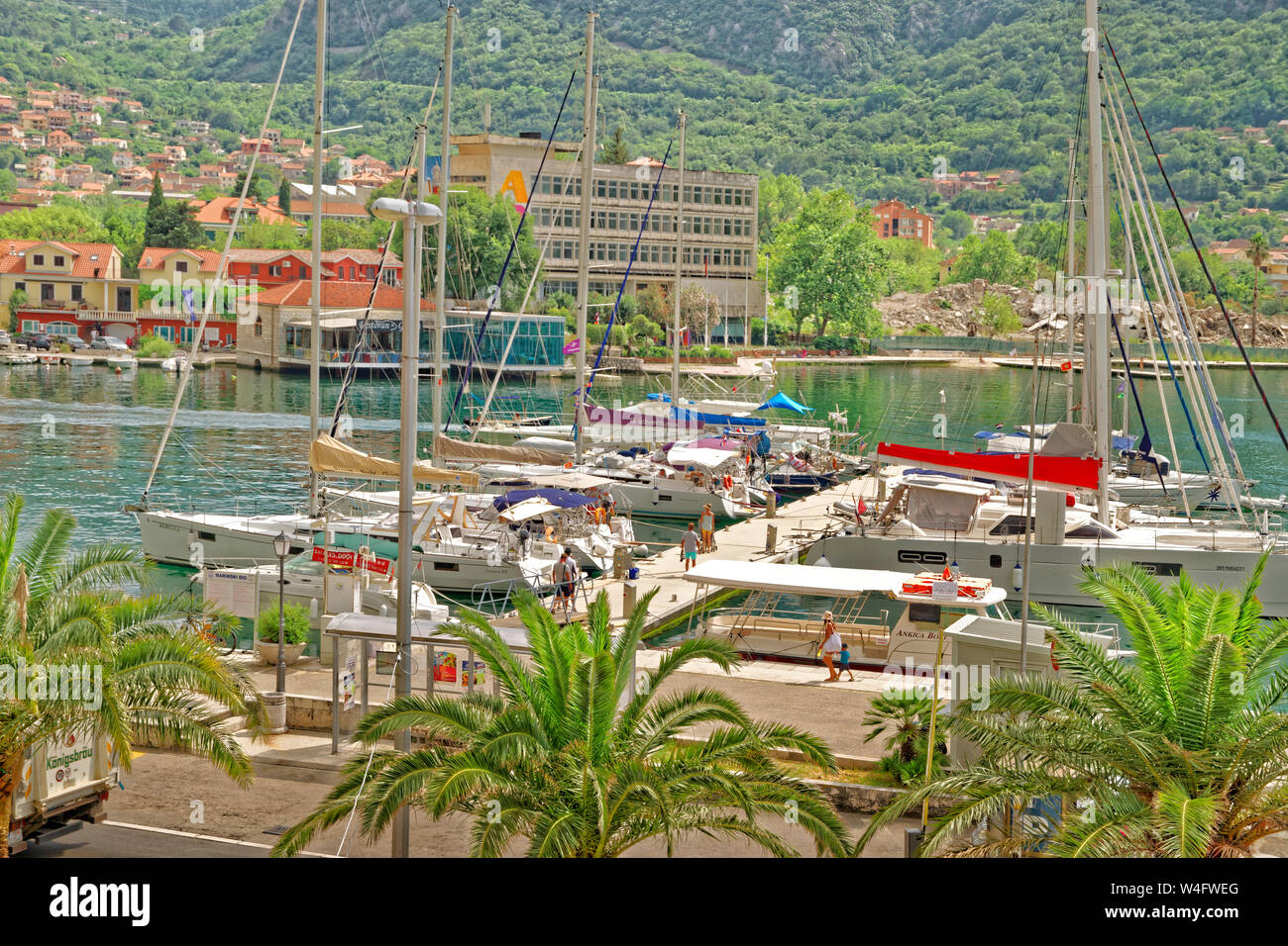 kotor yacht tour