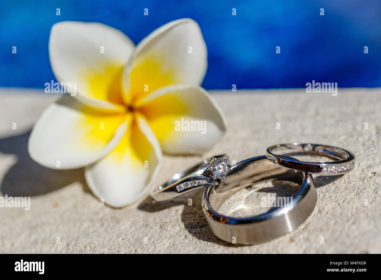 Bride and groom white gold wedding rings and a engagement ring near Frangipani (Plumeria) flower on the edge of the swimming pool. Stock Photo