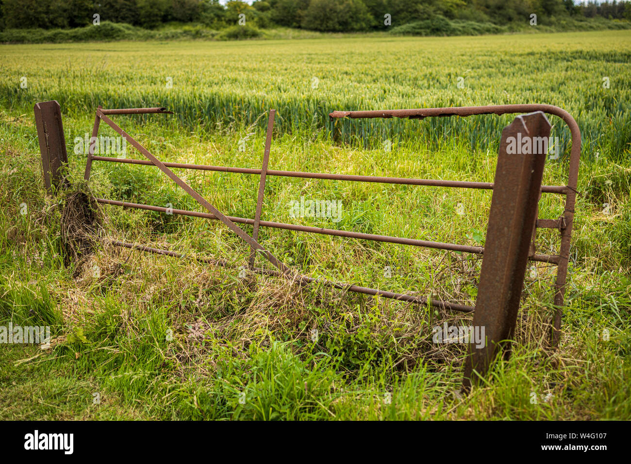 Rusty broken five bar gate to a field in County Cork, Ireland, Stock Photo