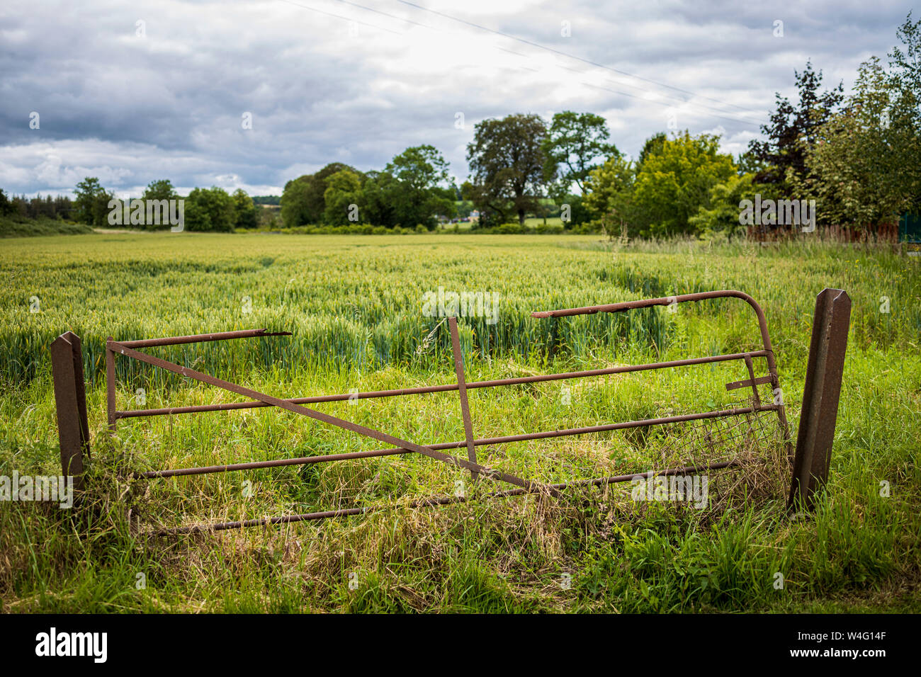 Rusty broken five bar gate to a field in County Cork, Ireland, Stock Photo