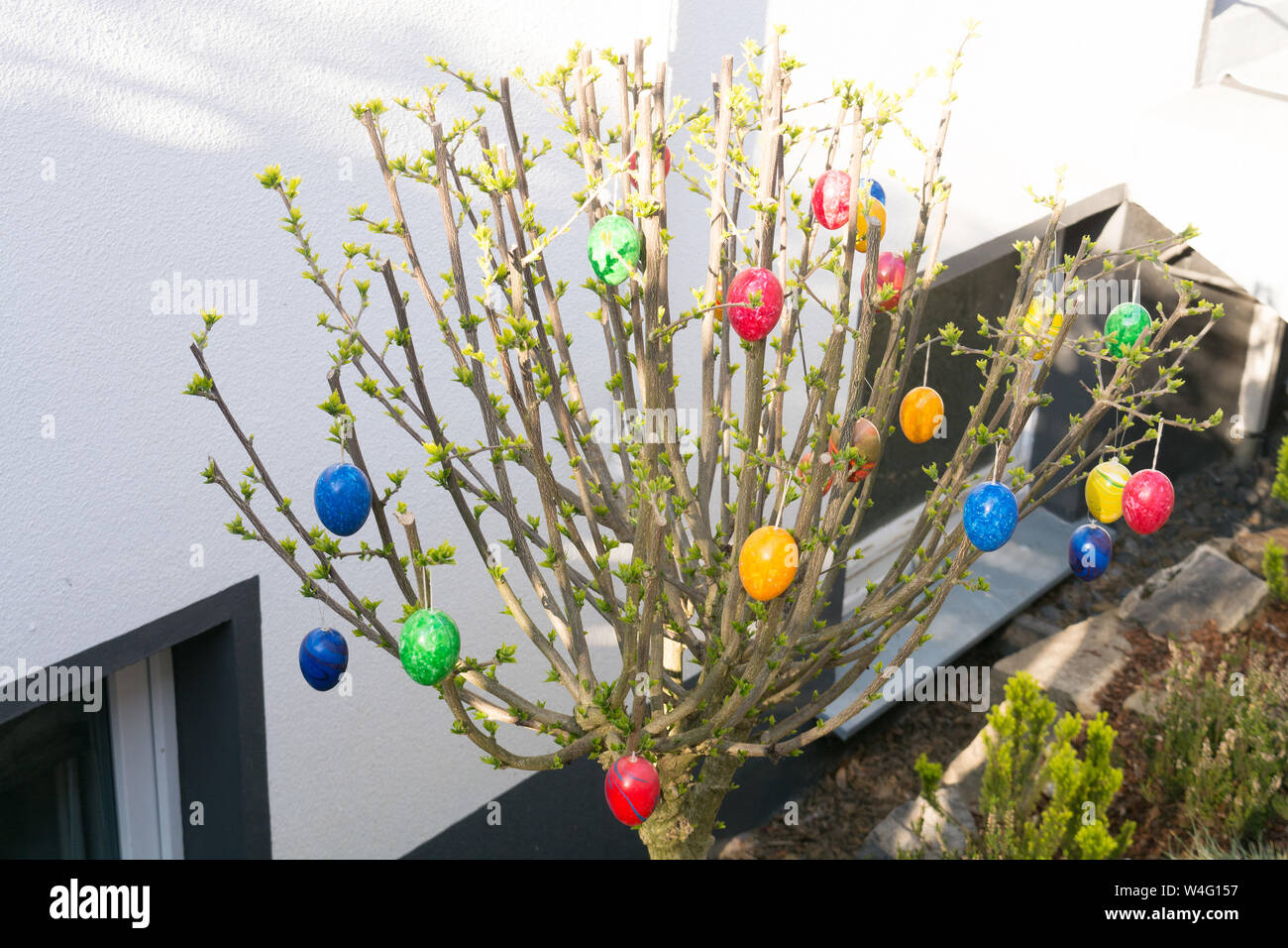 Colored easter eggs on willow bouquet with kitten willows Stock Photo