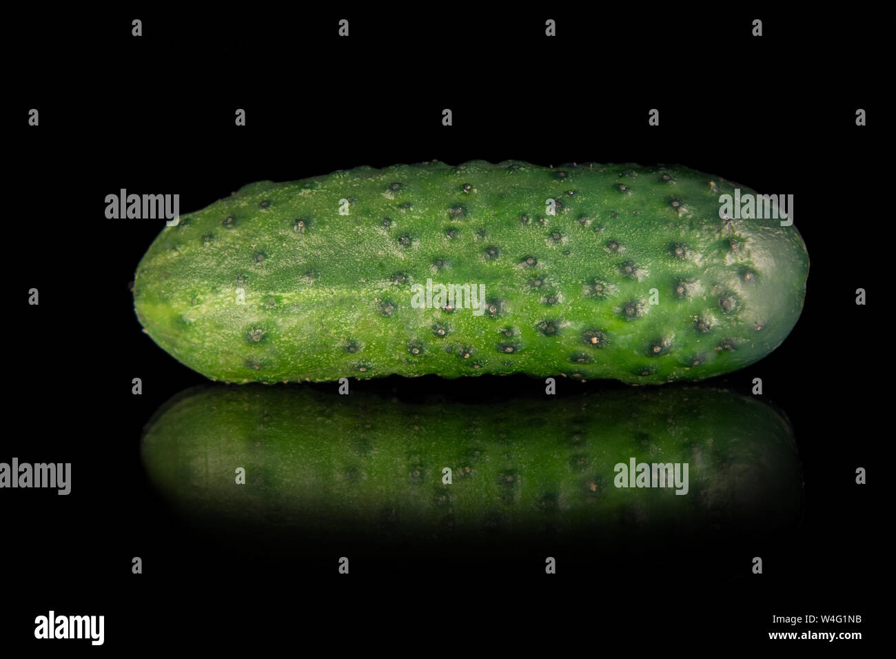 Green cucumber (gherkin) isolated on a black background Stock Photo
