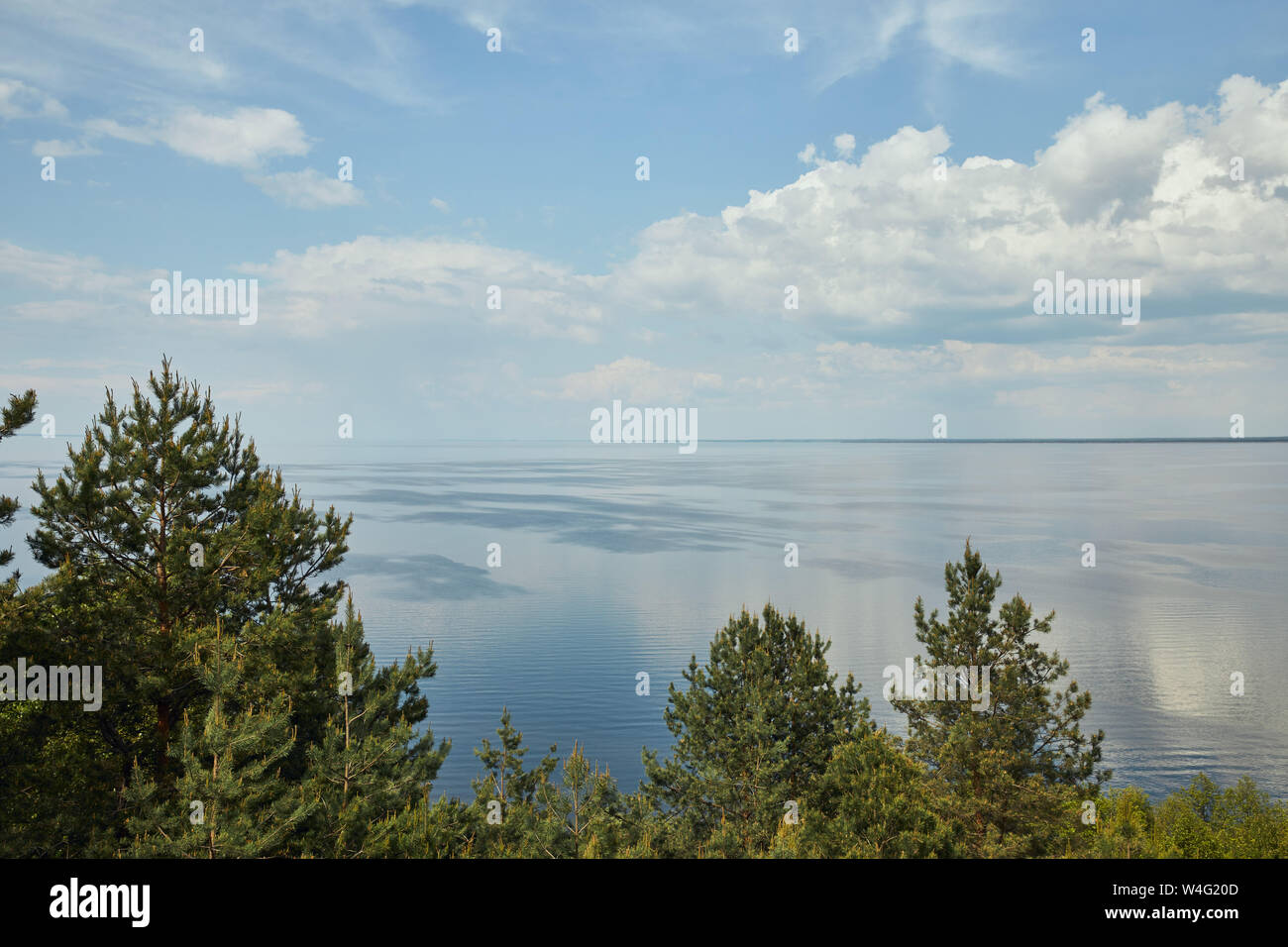 aerial view of landscape with green leafy trees, river and peaceful sky ...