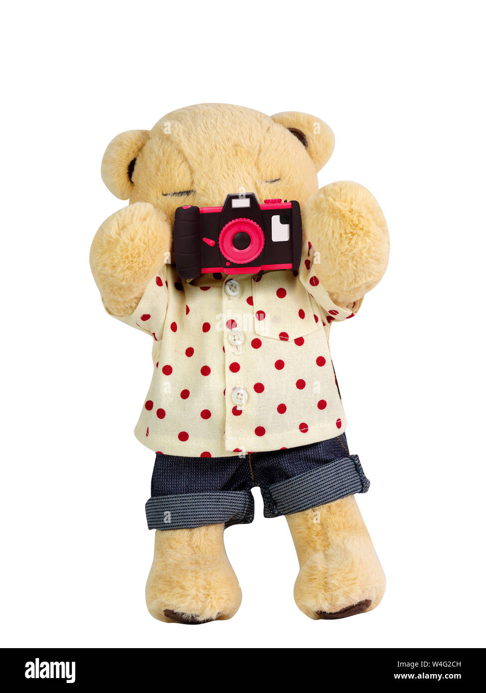 Teddy bear holding camera on white background isolate Stock Photo Alamy
