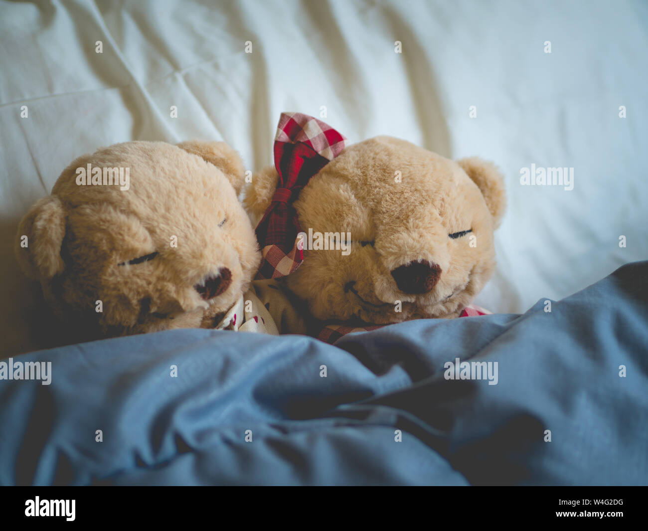 Two teddy bears in the bed, Teddy Bear Lovers. Valentine concept