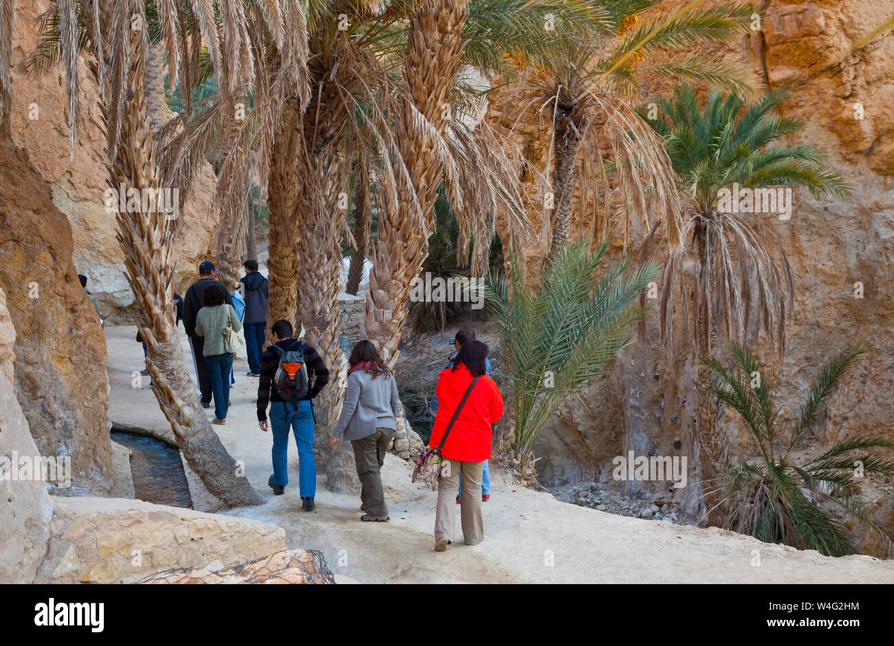 Oasis de montaña, Chebika, Desierto, Tunez, Africa Stock Photo - Alamy