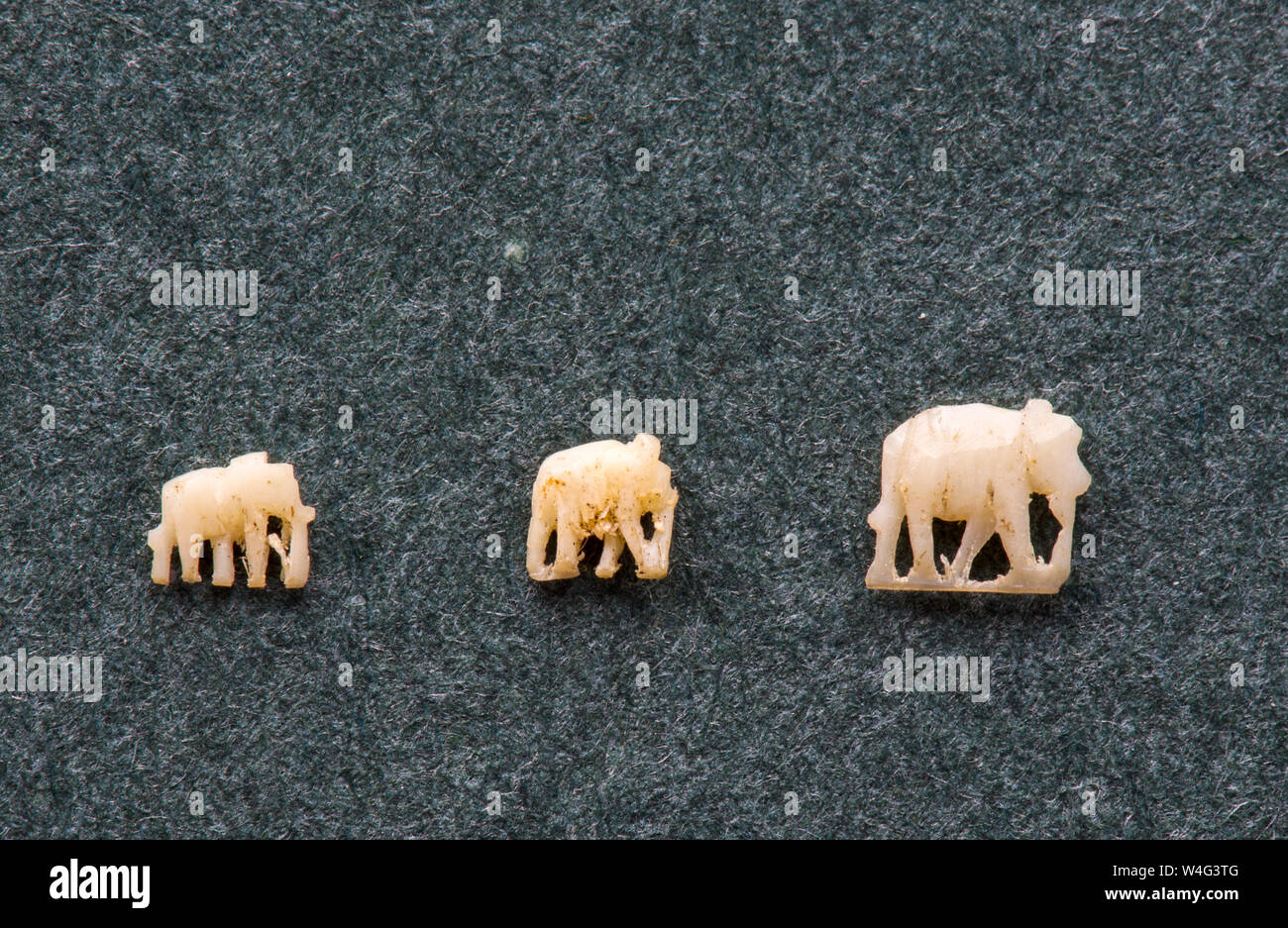 Three tiny antique ivory carved elephants from Burma Stock Photo Alamy
