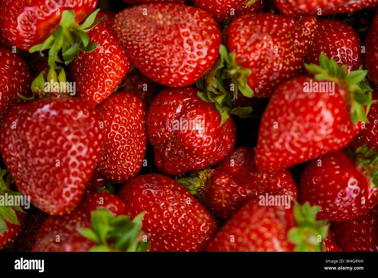 top view of background with red fresh strawberries Stock Photo - Alamy
