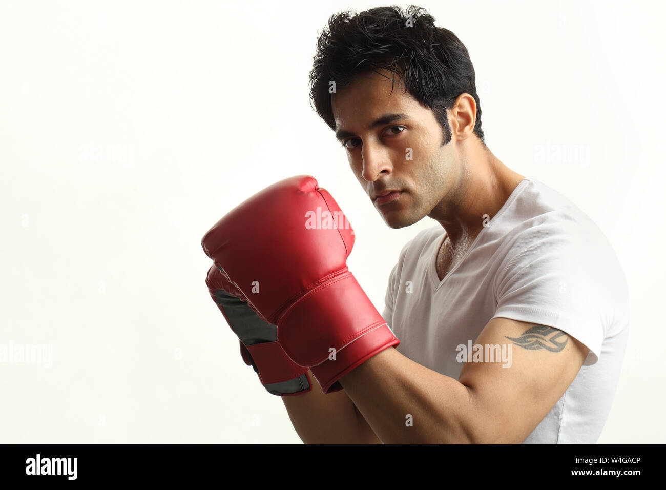 Indian young man wearing boxing gloves Stock Photo Alamy
