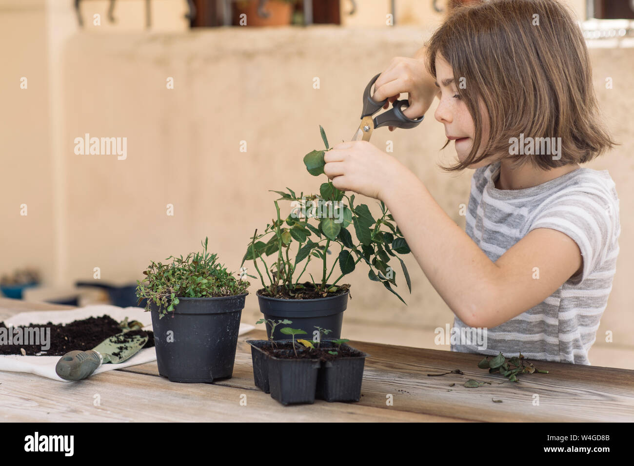 Repotting plant hi-res stock photography and images - Alamy