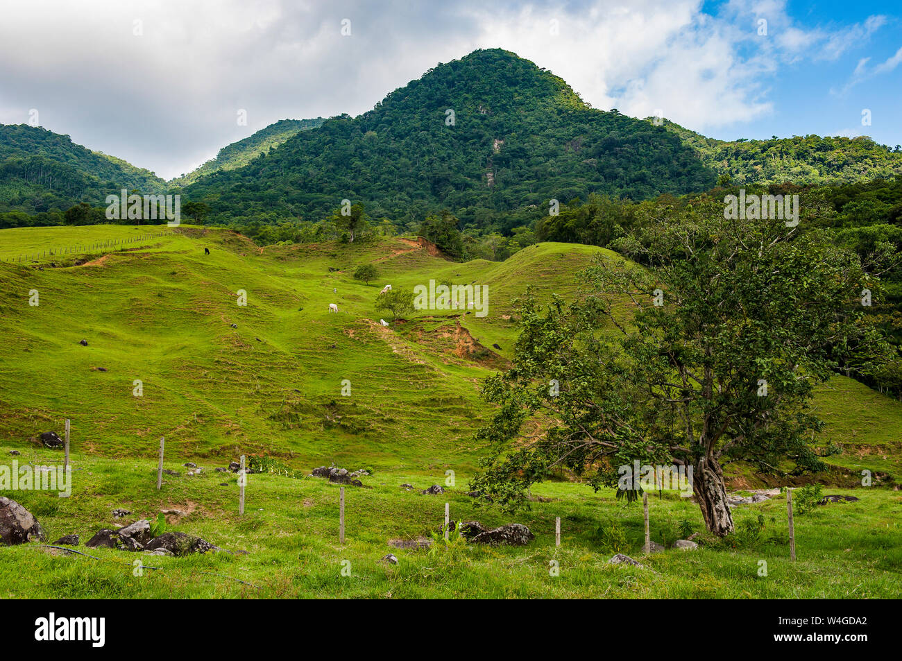 Mountain scenery near the German town Pomerode, Brazil Stock Photo