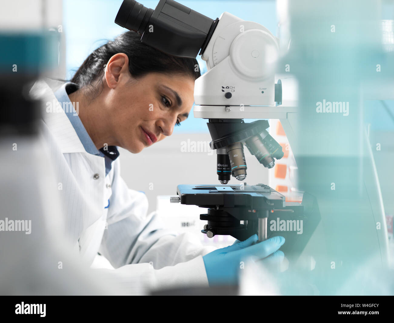 Lab technician preparing sample for analysis under a microscope in the laboratory Stock Photo