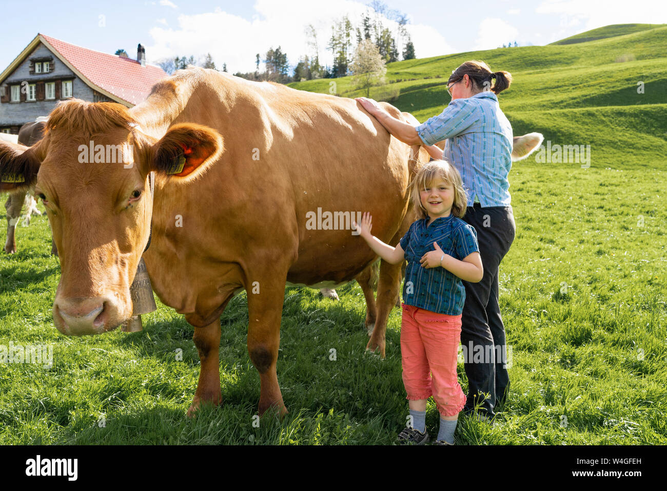 Portrait of girl with mother caring for cow on pasture Stock Photo - Alamy