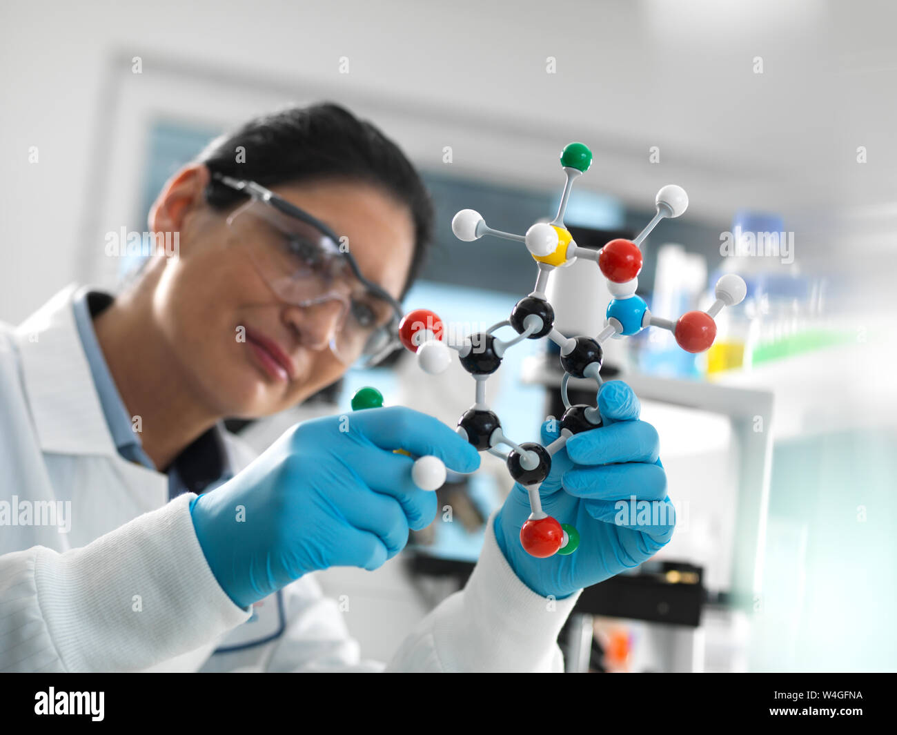 Biotech Research, Scientist examining a ball and stick molecular model of a chemical formula during a experiment Stock Photo