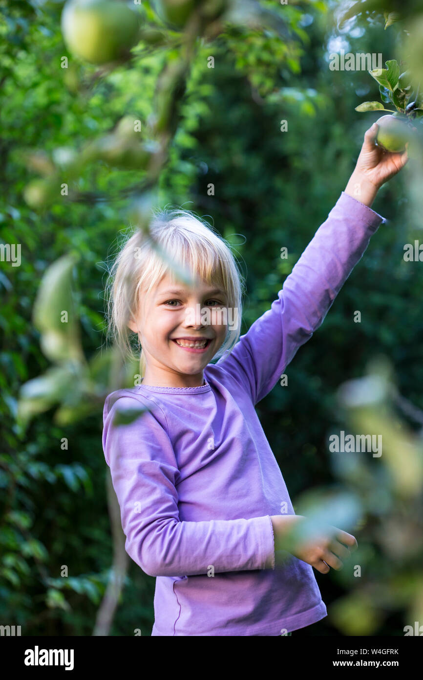 Portrait of happy little girl picking apple from tree Stock Photo