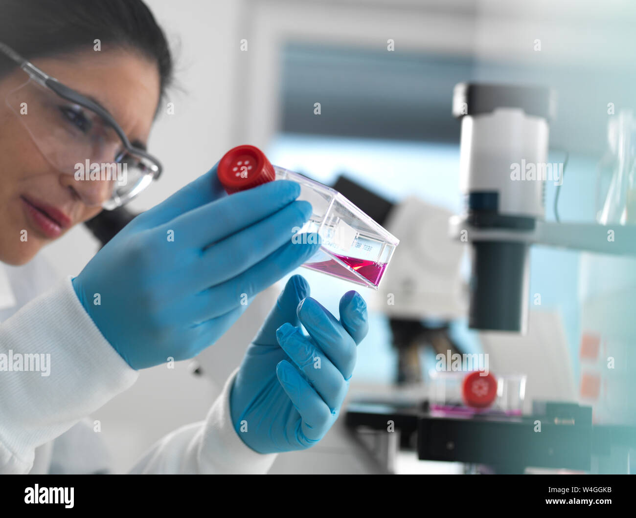 Human cell research, Female cell biologist examining a flask containing stem cells, cultivated in red growth medium in the laboratory Stock Photo