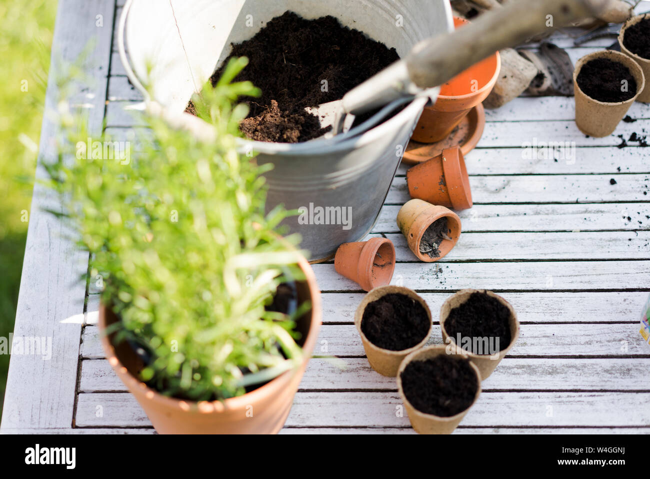 Gardening accessories on table Stock Photo