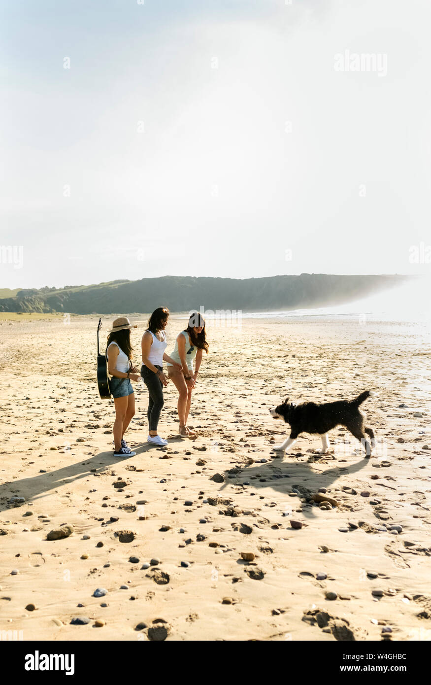 Three women with dog and guitar on the beach Stock Photo