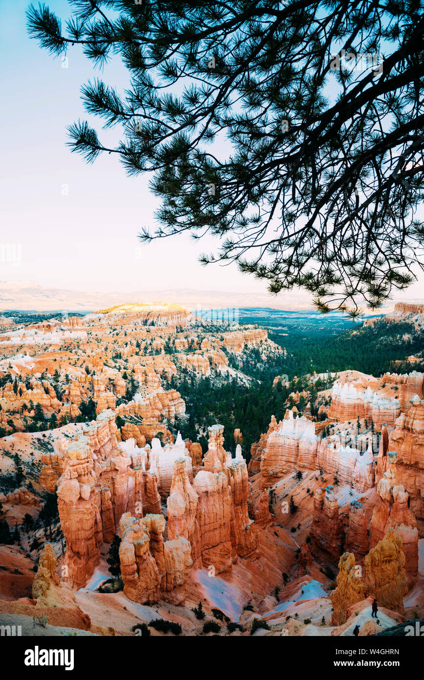 Scenic view of the pillar-like rock formations called hoodoos in Bryce Canyon at autumn, Utah, USA Stock Photo