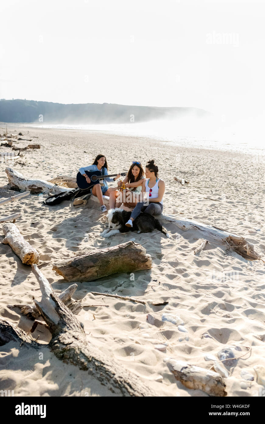 Three women with dog and guitar on the beach Stock Photo