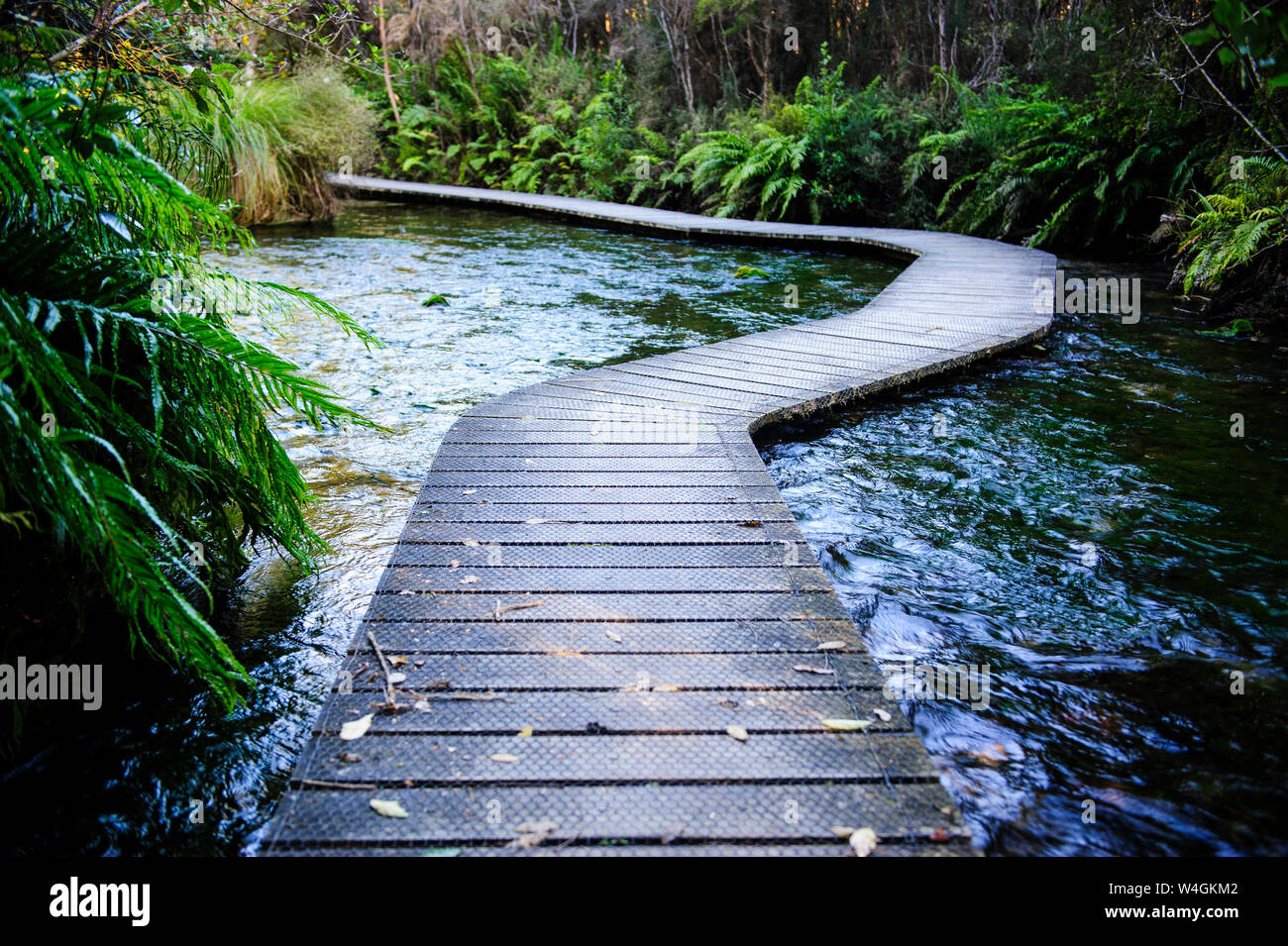 Boardwalk at Te Waikoropupu Springs, Takaka, Golden Bay, South Island