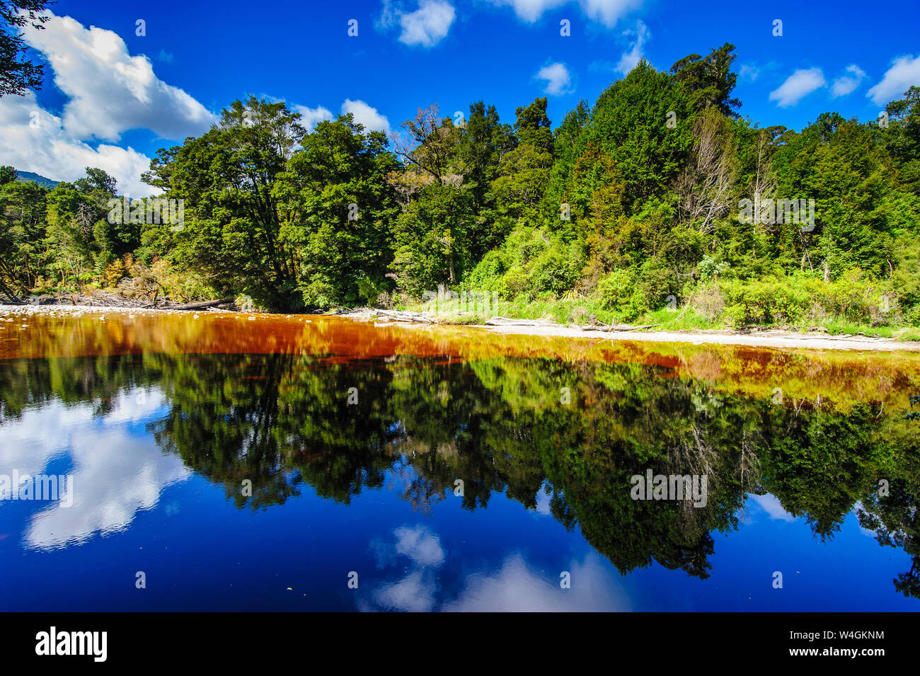 Trees reflecting in the water, Mirror Tarn, Oparara Basin, Karamea, South island, New Zealand Stock Photo